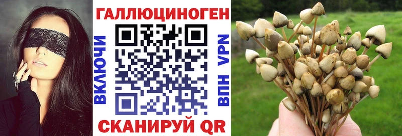 Галлюциногенные грибы MAGIC MUSHROOMS Алзамай
